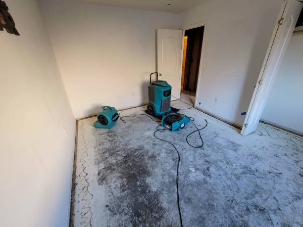 Local water damage restoration in HI