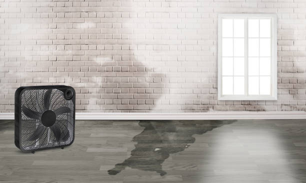 Sewage cleanup and water damage restoration in HI