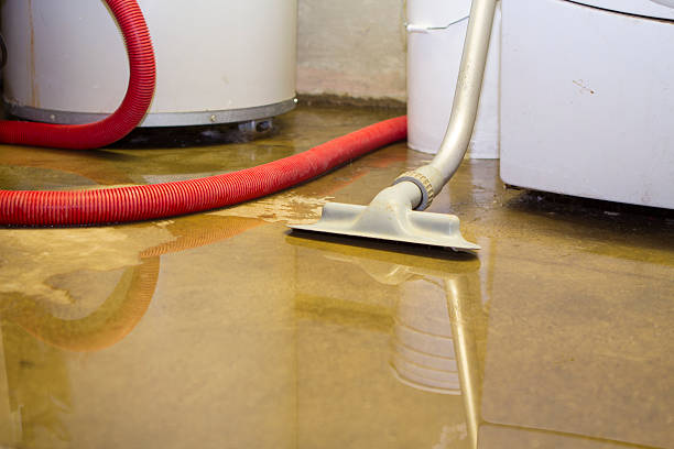 Best Water damage restoration near me  in West Loch Estate, HI