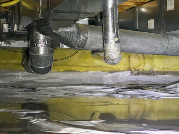 Best Basement water damage restoration  in West Loch Estate, HI