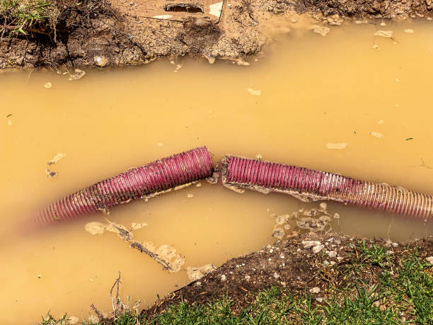 Best Basement water damage restoration  in West Loch Estate, HI