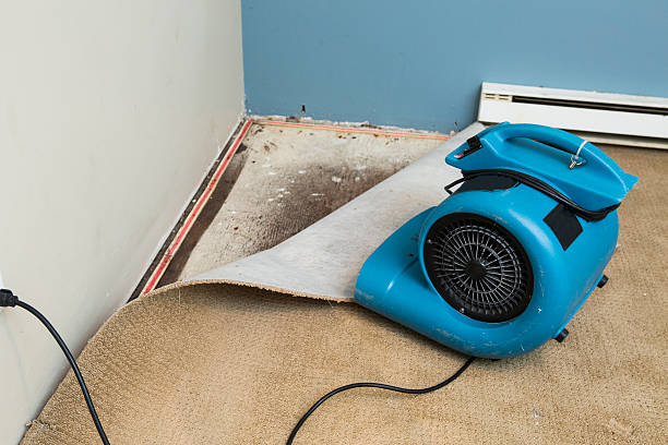 Best Water damage restoration experts  in West Loch Estate, HI